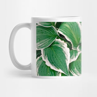 Hosta Leaves In The Rain 2 Mug